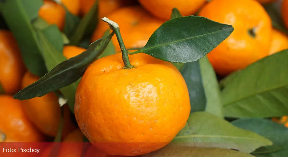 мандарине mandarine.webp